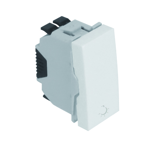 Pulsador con Símbolo de Luz - 1 Módulo