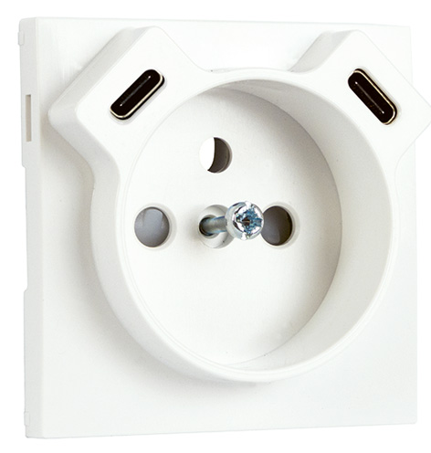 Cover Plate for Earth Socket French + USB C+C