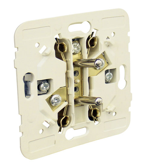 Double Earth Socket (French Type)